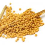 Black mustard seeds isolated on white background