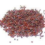 Black mustard seeds isolated on white background